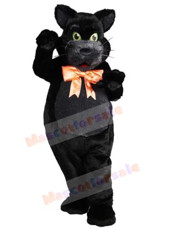 cat mascot costume