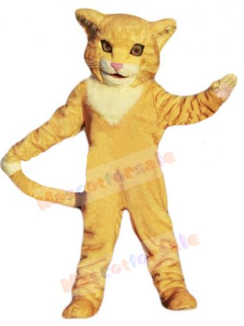 cat mascot costume