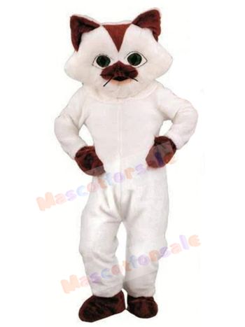 cat mascot costume