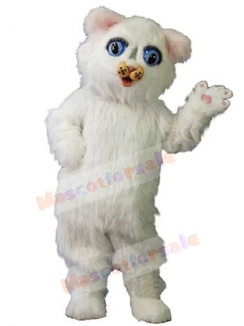 cat mascot costume