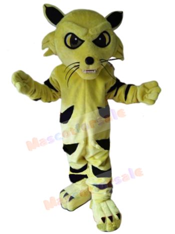 cat mascot costume