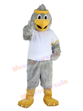 bird mascot costume