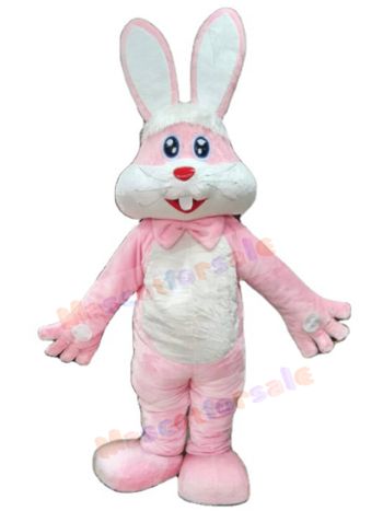 Rabbit mascot costume