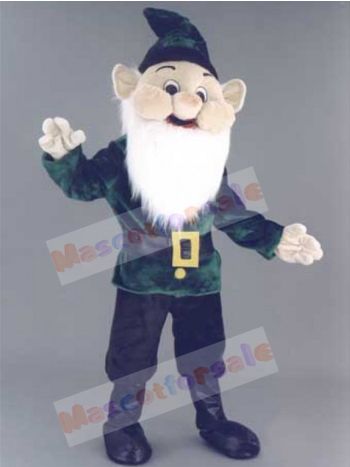 Elf mascot costume