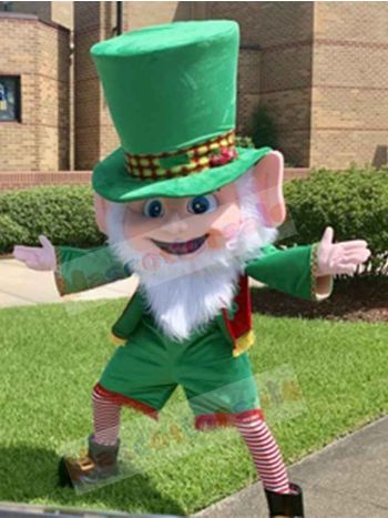 Leprechaun mascot costume