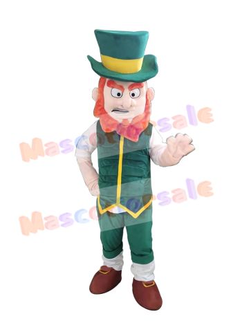 Elfe Boy mascot costume