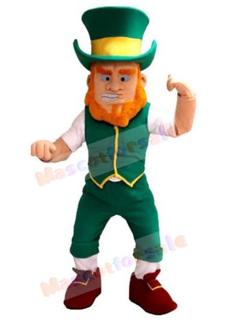 Leprechaun mascot costume