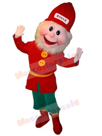 Leprechaun mascot costume