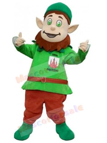Leprechaun mascot costume