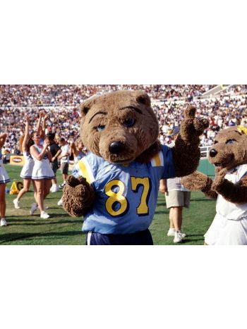 Dark Brown Bear mascot costume