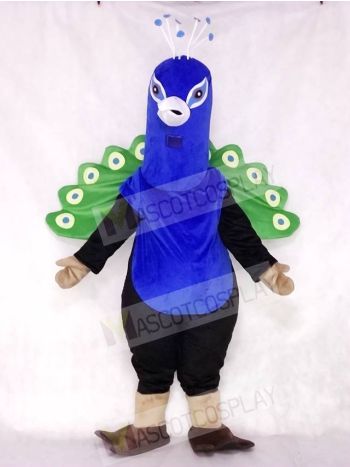 Cute Peacock Mascot Costumes Bird Animal