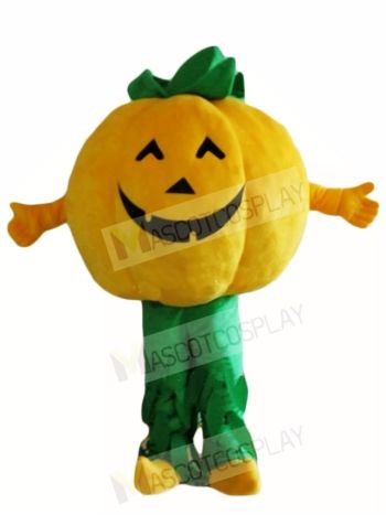 Pumpkins Plant Mascot Costumes Vegetable