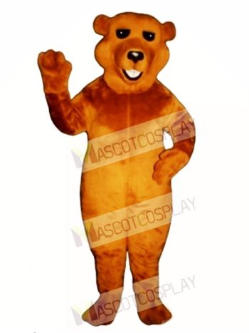 New Barry Bear Mascot Costume