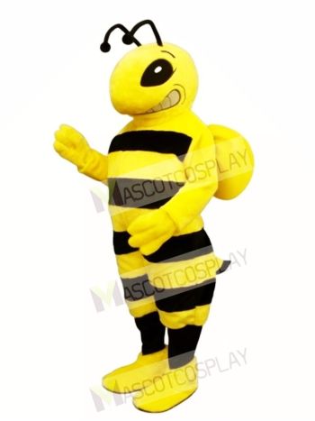 Cartoon Bee Mascot Costume