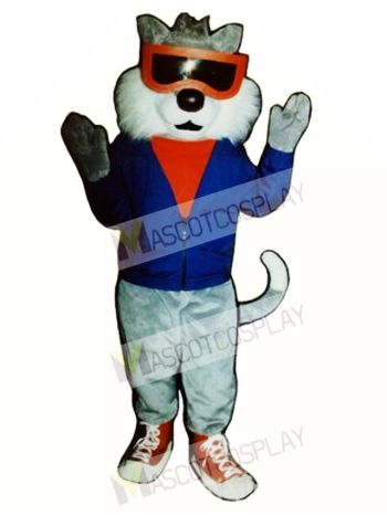 Cute Alley Cat Mascot Costume