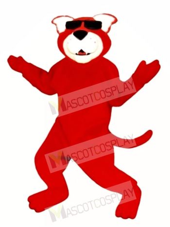 Cute Ready Red Cat Mascot Costume