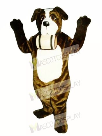 Cute St. Bernard Dog with Barrel Mascot Costume