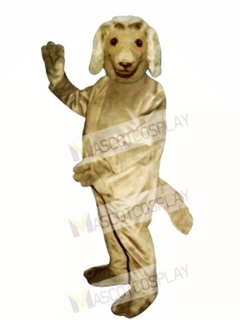 Cute Afghan Dog Mascot Costume