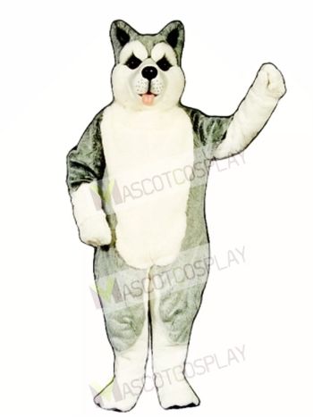 Cute Siberian Husky Dog Mascot Costume