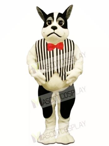 Cute Harrington Dog with Vest Mascot Costume