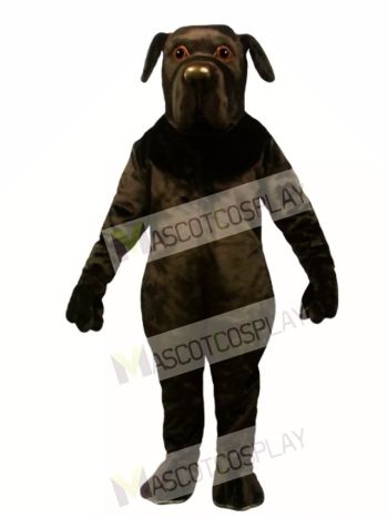 Cute found land Dog Mascot Costume