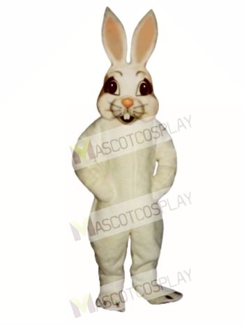Easter Funny Bunny Rabbit Mascot Costume