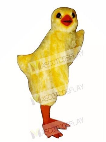 Cute Chick Mascot Costume