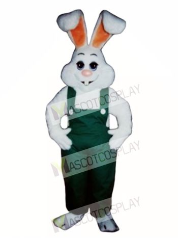 Easter Bunny Rabbit Boy Mascot Costume