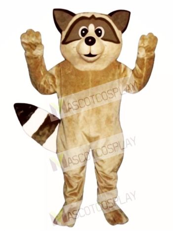 Cute Raccoon Mascot Costume