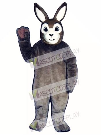 Easter J.R. Bunny Rabbit Mascot Costume
