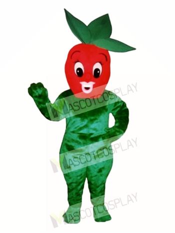 Sherry Strawberry Mascot Costume