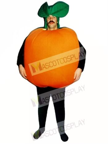 Orange Mascot Costume