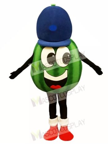 Madcap Watermelon Mascot Costume