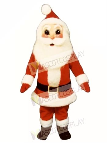 Santa Claus Christmas Mascot Costume