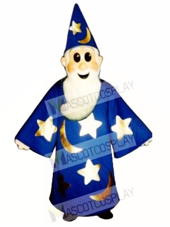 Wizard Mascot Costume