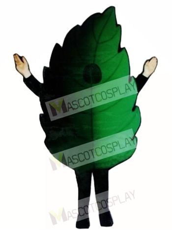 Leaf Mascot Costume