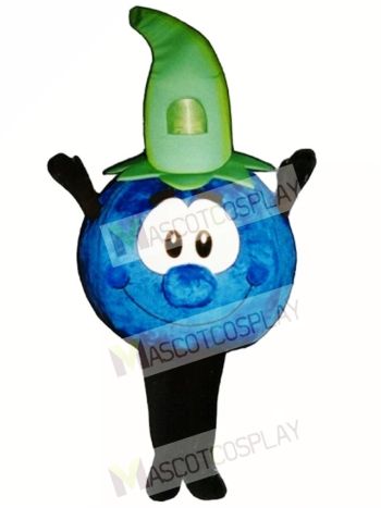 Bobby Blueberry Mascot Costume