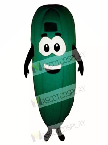 Cucumber Mascot Costume