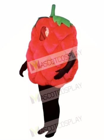 Fresh Raspberry Mascot Costume