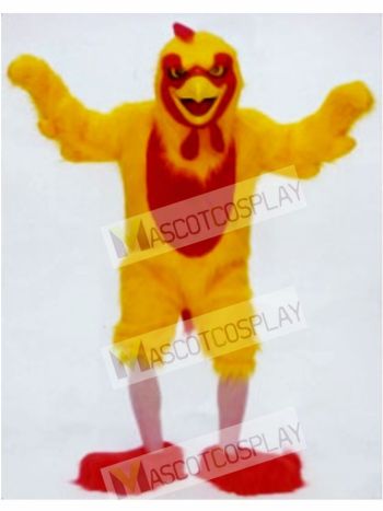 Chicken Mascot Costume