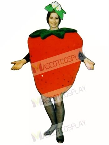 Strawberry Mascot Costume
