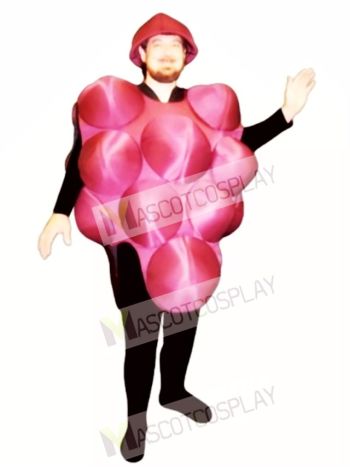 Grapes Mascot Costume