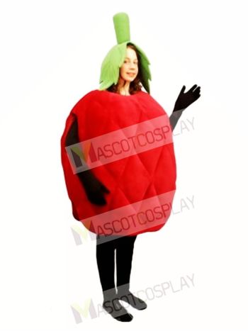 Raspberry Mascot Costume