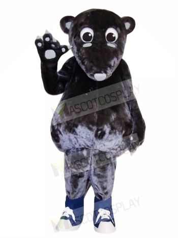 Anteater Mascot Costumes Animal