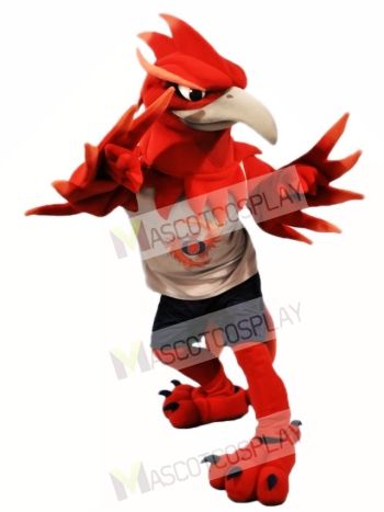 Red Phoenix Mascot Costumes 