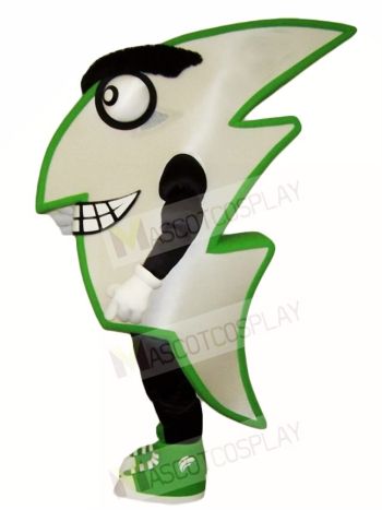 Flash Mascot Costumes