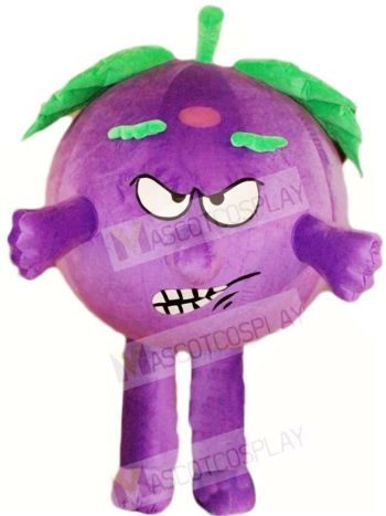Angry Eggplant Mascot Costumes Vegetable Plant