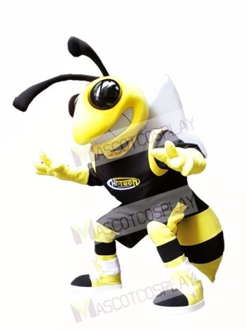 Yellow and Black Hornets Mascot Costume Hornet Insect Mascot Costumes