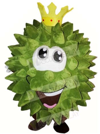Musang King Durian Mascot Costumes Fruit 