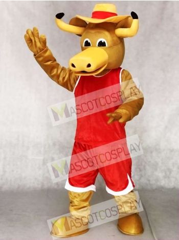 Texas Longhorns Hook'em Sport Bull Mascot Costumes
